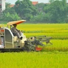 Le Vietnam atteint avant terme l'OMD dans la réduction de la pauvreté