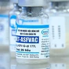  Le Vietnam devient le premier pays à commercialiser le vaccin contre la peste porcine africaine