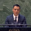 Le Vietnam soutient les efforts de dénucléarisation pacifique de la péninsule coréenne