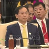 Le ministre des AE Bui Thanh Son à la réunion spéciale des ministres des AE ASEAN-Inde