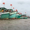 Le Vietnam réaffirme son engagement ferme à éliminer la pêche illégale