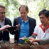 Des experts étrangers inspectent la culture du ginseng Ngoc Linh à Quang Nam