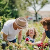 Long An met l’accent sur l’agritourisme