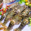 Les exportations nationales de homards vers la Chine ont retrouvé des couleurs