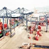 Quang Ninh promeut le développement de ses ports maritimes