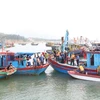 La province de Ha Tinh combat résolument la pêche INN 