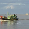 Lutte contre la pêche INN: Binh Thuan inspecte les exportations de produits aquatiques vers l'Europe