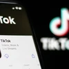 Inspection complète des activités de TikTok au Vietnam