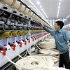 L'indice de la production industrielle de Binh Phuoc en hausse de 6,5% en cinq mois