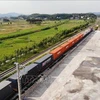 Bac Giang expédie 56 tonnes de litchis frais en Chine par chemin de fer