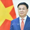 L'ambassadeur du Vietnam au Japon présente ses lettres de créance