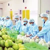 Promotion de l'exportation des produits agricoles du Vietnam vers l'Europe
