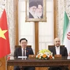 Vietnam-Iran: Conférence de presse conjointe des présidents des organes législatifs