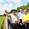 Tournée de travail du Premier ministre Pham Minh Chinh à Dong Thap