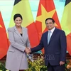 Entrevue entre le Premier ministre Pham Minh Chinh et la présidente du Sénat de Belgique