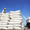 Le prix du riz à l'exportation du Vietnam demeure au plus haut niveau au monde