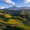 The Travel : Can Tho et Sapa parmi le Top 10 des destinations asiatiques idéales en automne