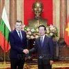 Le président Vo Van Thuong reçoit de nouveaux ambassadeurs 