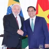 Entretien entre le Premier ministre vietnamien et le président brésilien