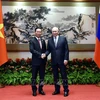 Le président Vo Van Thuong rencontre son homologue russe