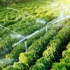 Sciences et technologies contribuent à l'augmentation de la productivité agricole