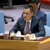 Conseil de sécurité de l'ONU : le Vietnam affirme l’importance du maintien de la paix 