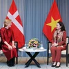 La vice-présidente Vo Thi Anh Xuan rencontre la présidente de l'Association d'amitié Danemark-Vietnam