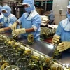 Promouvoir les exportations de produits agroalimentaires du Vietnam vers l'Afrique et le Moyen-Orient