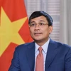 Vietnam-Japon : développer la coopération multiforme de manière forte, substantielle et intégrale