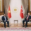 Le Vietnam et la Turquie renforcent leur coopération multiforme