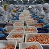  Les exportations de crevettes devraient rapporter 3,4 milliards de dollars cette année