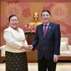 Le vice-président de l'Assemblée nationale Nguyen Duc Hai reçoit une délégation de Vientiane (Laos)