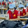 Les entreprises vietnamiennes doivent respecter le Pacte Vert pour l'Europe