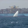 Les exportateurs invités à faire preuve de flexibilité face aux perturbations des transports en mer Rouge