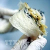 Sept entreprises sont autorisées à exporter des nids de salanganes vers la Chine