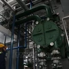 Mise en service de la première centrale de valorisation énergétique de déchets à Binh Duong