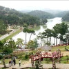 Da Lat, destination touristique la plus populaire pour les vacances du Têt 2024