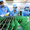 Le Vietnam élabore un nouveau programme de main-d'œuvre dans l’industrie de semi-conducteurs 