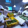 Les exportations de fruits et légumes devraient atteindre 6,5 à 7 milliards de dollars cette année