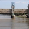 L'intrusion d'eau salée menace la récolte de riz du delta du Mékong