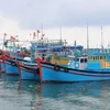 Thanh Hoa poursuit ses efforts contre la pêche INN