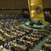 Le Vietnam et Cuba coopèrent étroitement dans d’importants processus de l’ONU