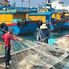 Binh Thuân est la première localité à ne compter aucun bateaux non qualifiés en activité en mer