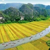 Le complexe paysager de Trang An présenté sur Google Arts & Culture