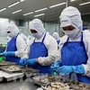 Le Vietnam devient le 5e exportateur de produits aquatiques à Singapour