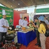 Kon Tum: 120 plats à base de ginseng établissent un record national 