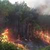Le PM demande la mise en œuvre de mesures drastiques de prévention et de lutte contre les incendies de forêt