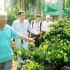 Promotion du tourisme agricole à Ho Chi Minh-Ville