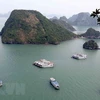 Améliorer la gestion des déchets pour préserver la baie d'Ha Long