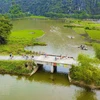 Tam Coc : les rizières verdoyantes séduisent les touristes 